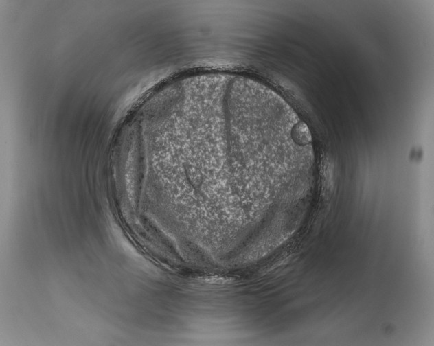 X0000112800734200909181536