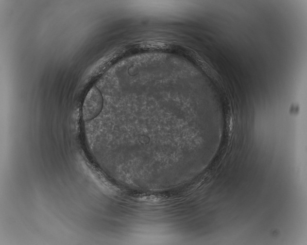 X0000112800735200909181536