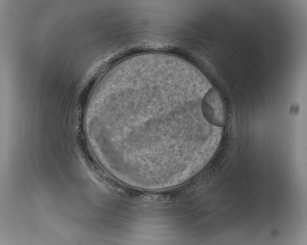 X0000112800736200909181536