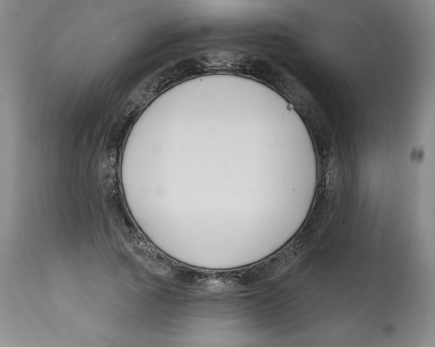 X0000112800737200909181536