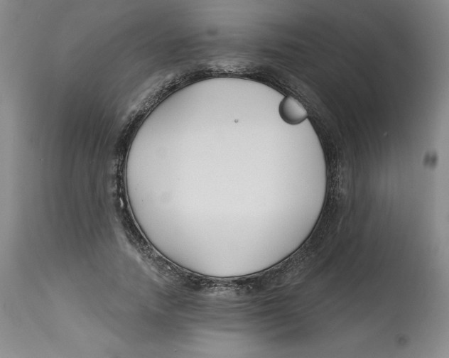 X0000112800738200909181536