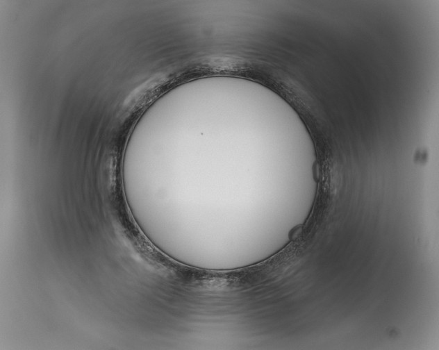 X0000112800740200909181536