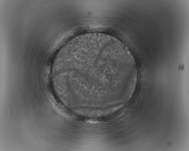 X0000112800742200909181536