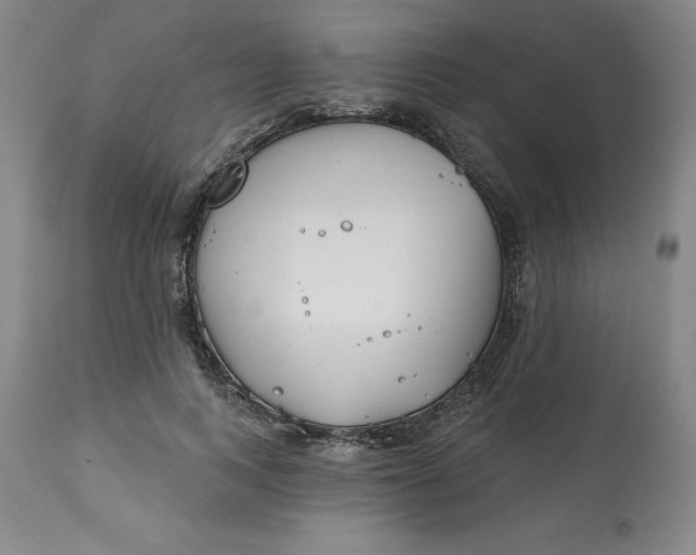 X0000112800743200909181536