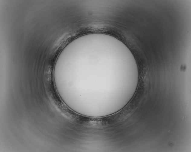X0000112800744200909181536