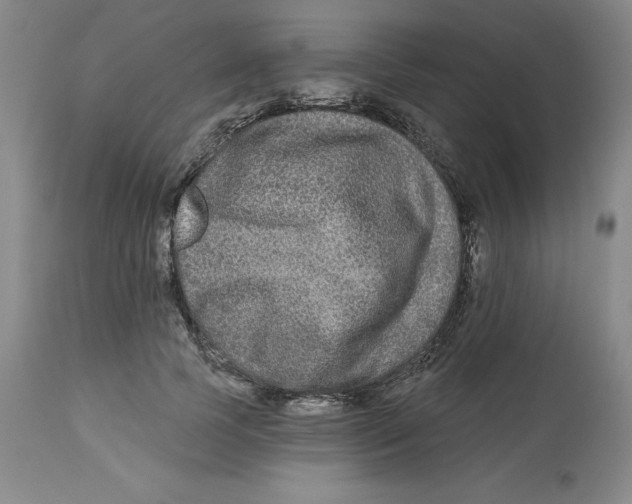 X0000112800745200909181536