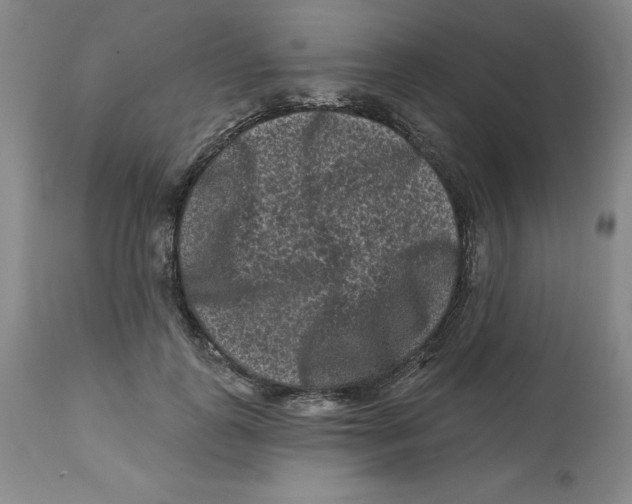 X0000112800747200909181536