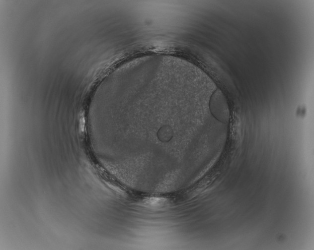 X0000112800748200909181536
