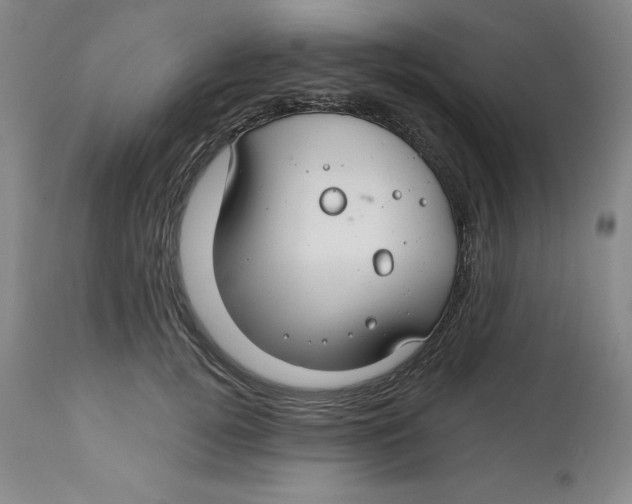 X0000112800752200909181536