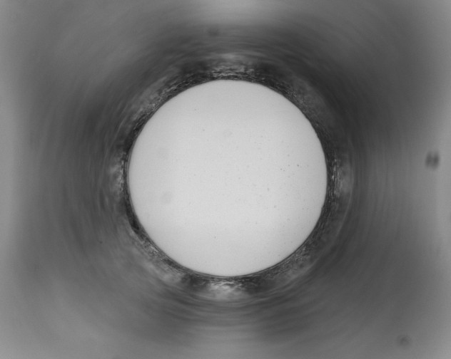 X0000112800753200909181536