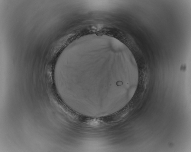 X0000112800754200909181536