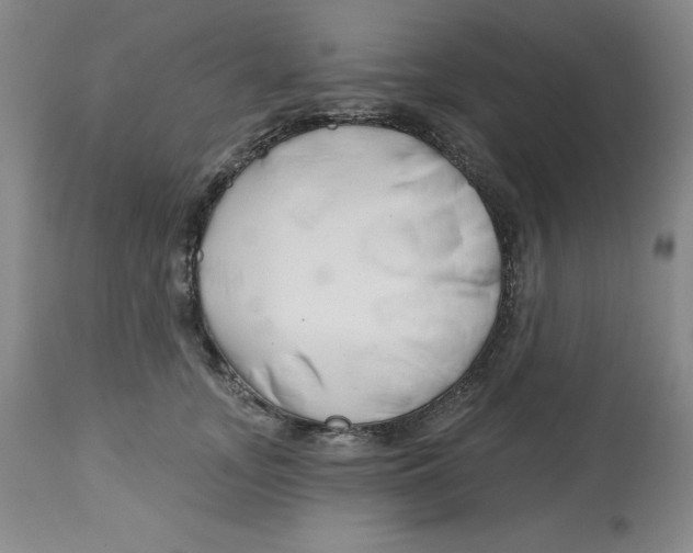 X0000112800755200909181536