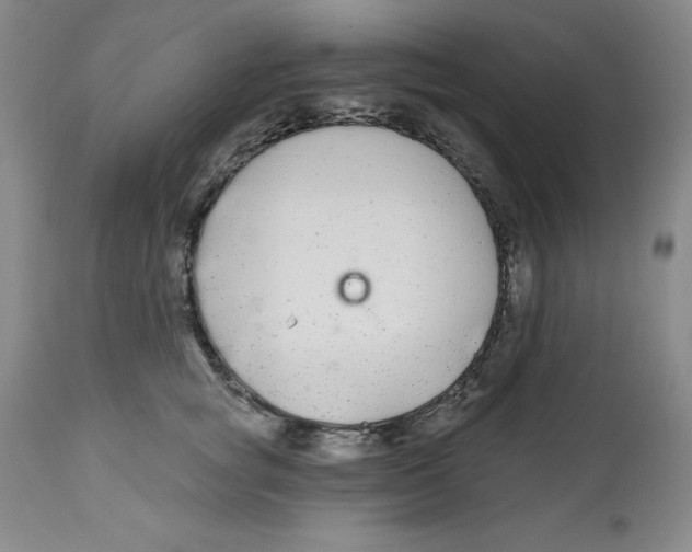 X0000112800757200909181536