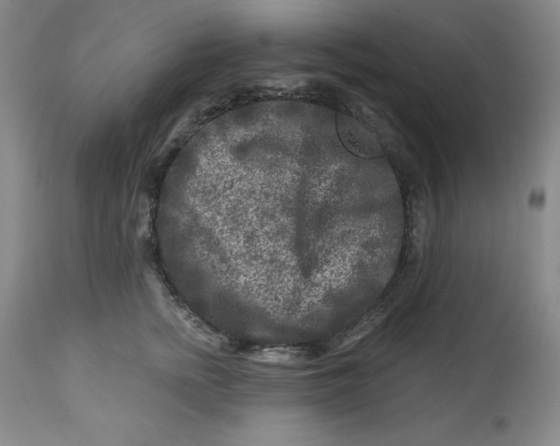 X0000112800758200909181536