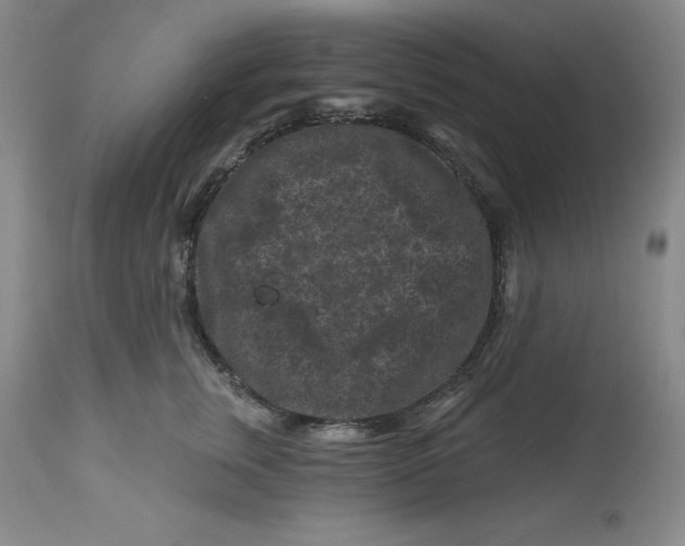 X0000112800759200909181536