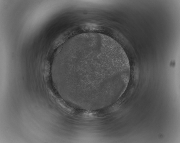 X0000112800760200909181536