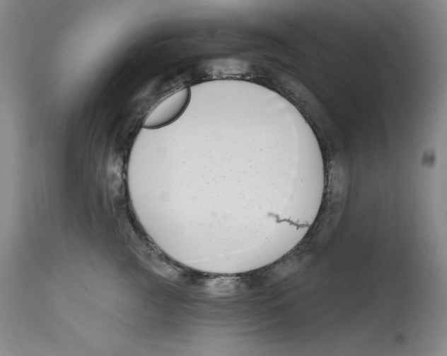 X0000112800761200909181536