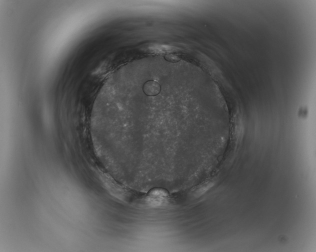 X0000112800762200909181536