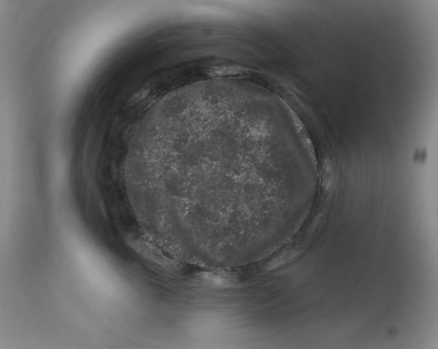 X0000112800763200909181536