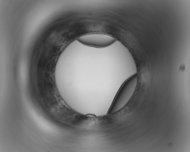 X0000112800764200909181536