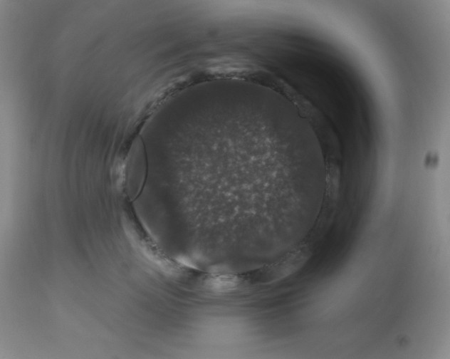 X0000112800767200909181536