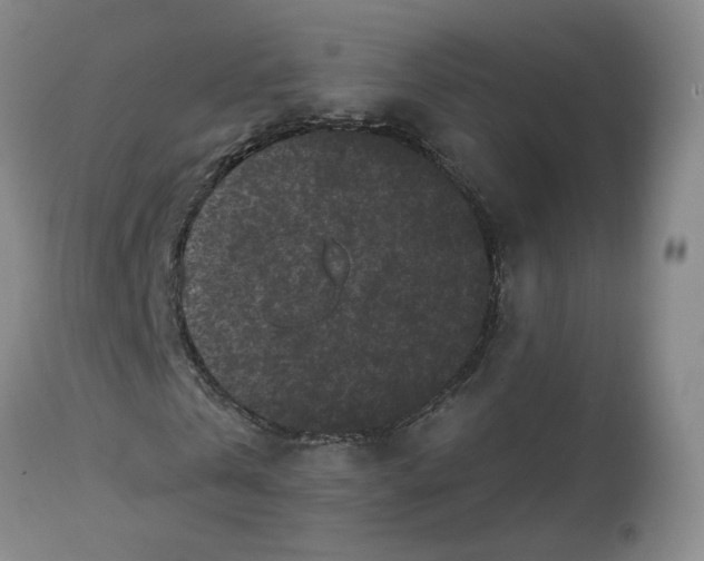 X0000112800769200909181536