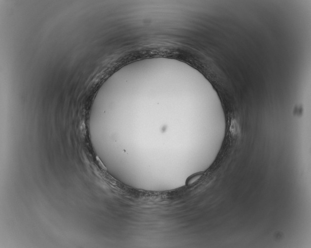 X0000112800771200909181536