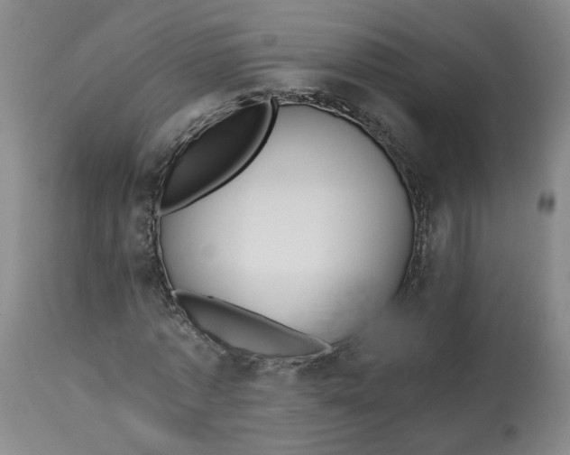 X0000112800773200909181536