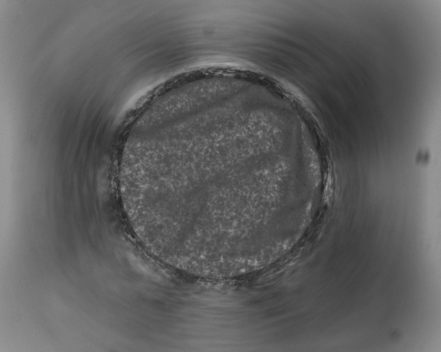 X0000112800775200909181536