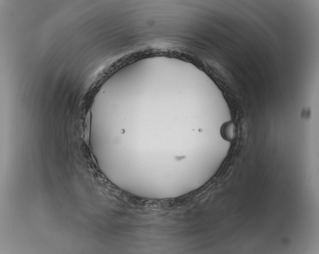 X0000112800776200909181535