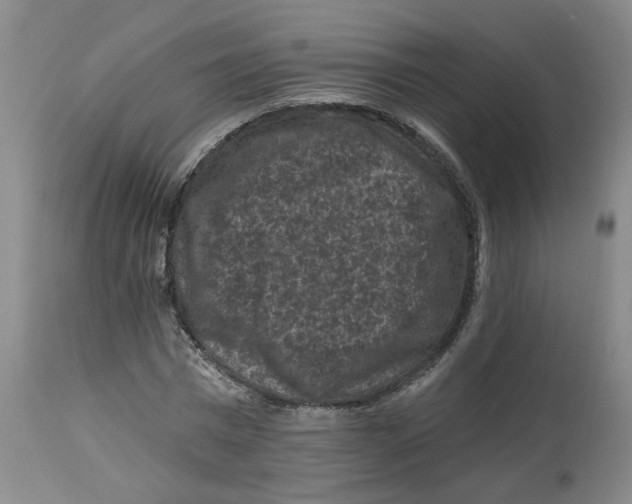 X0000112800777200909181535