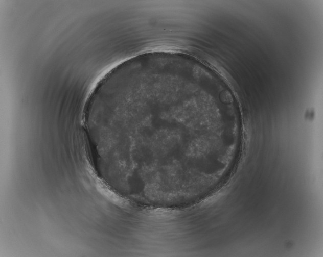 X0000112800779200909181535