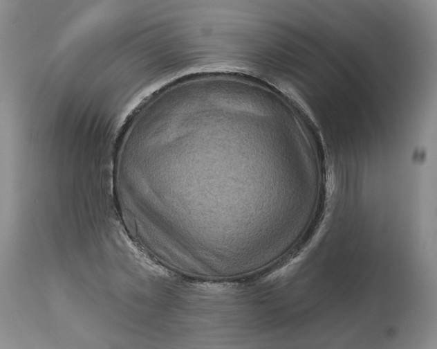 X0000112800781200909181535