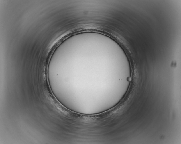 X0000112800782200909181535
