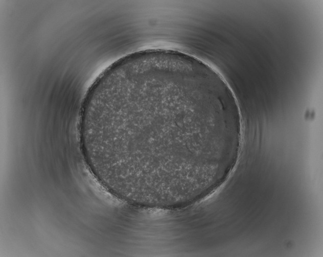X0000112800783200909181535