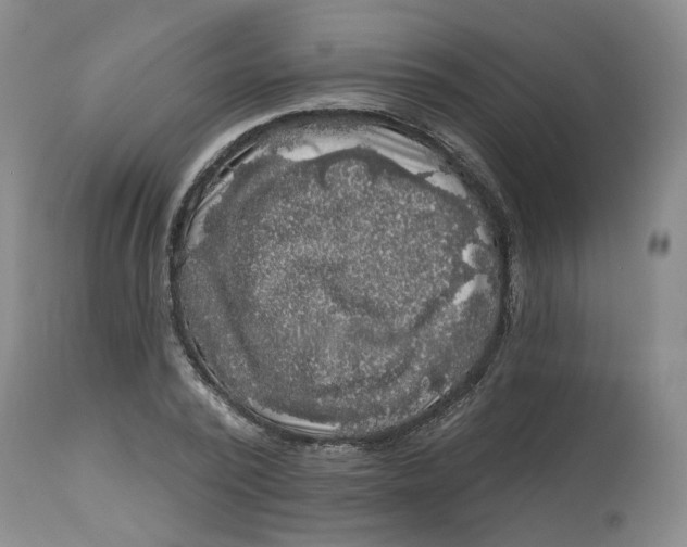 X0000112800784200909181535