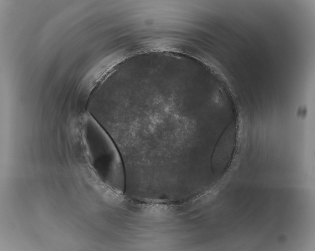 X0000112800785200909181535