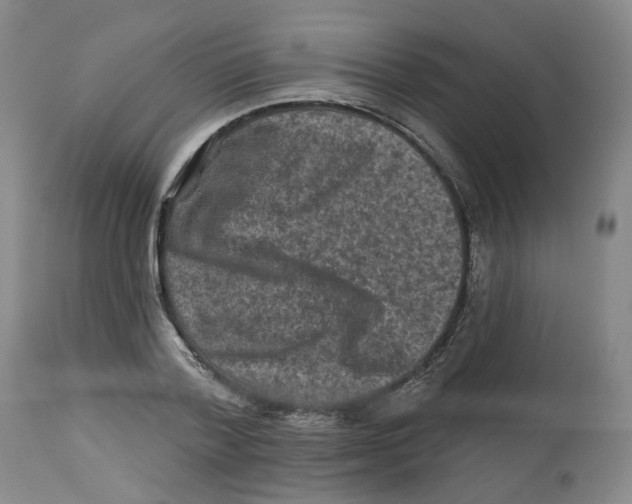 X0000112800788200909181535