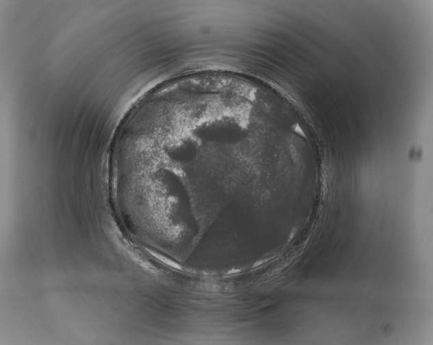 X0000112800790200909181535