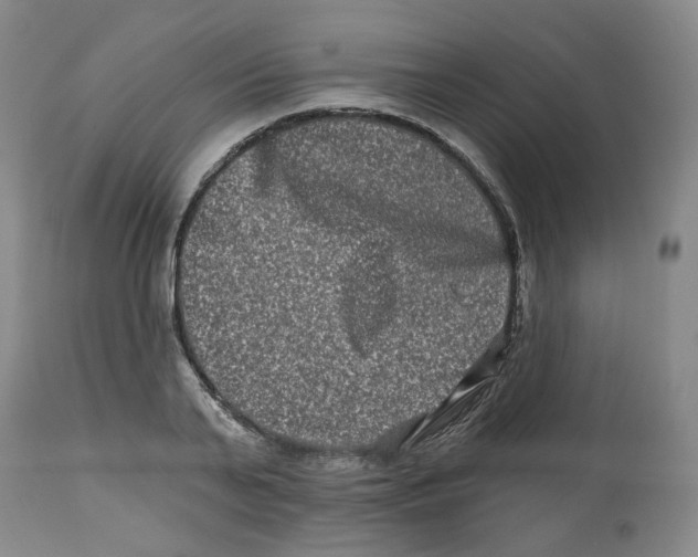 X0000112800791200909181535