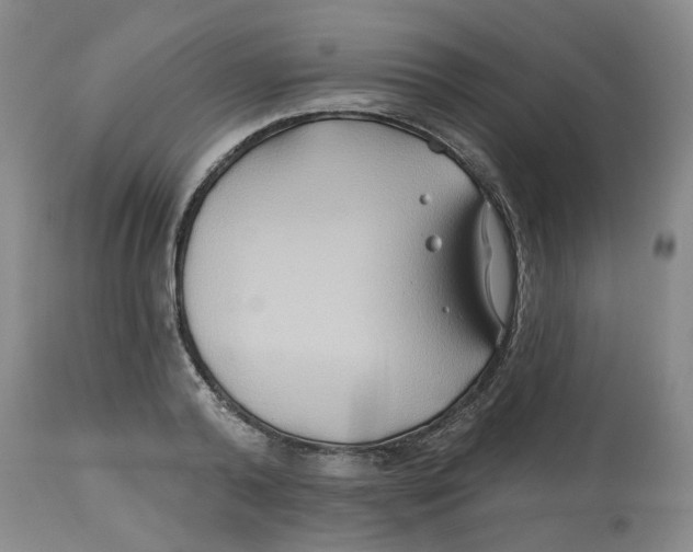X0000112800792200909181535