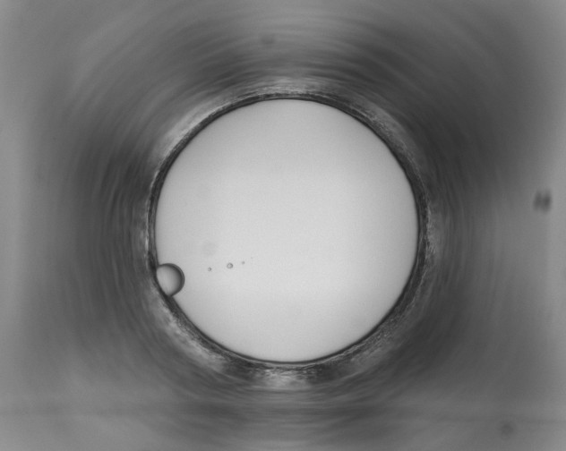 X0000112800794200909181535