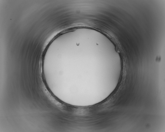 X0000112800796200909181535