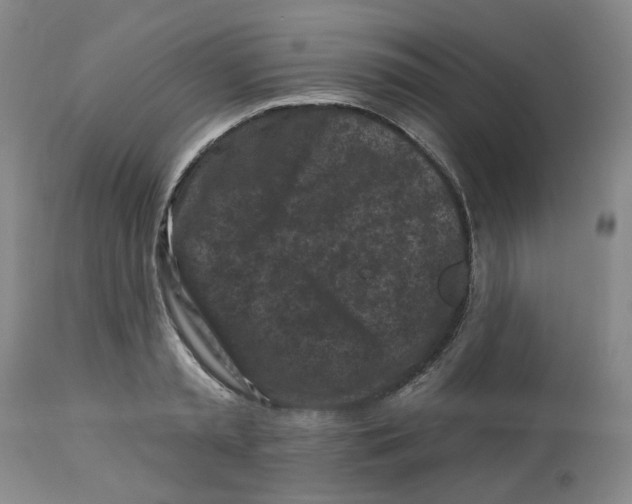 X0000112800797200909181535