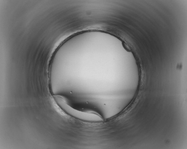 X0000112800800200909181535