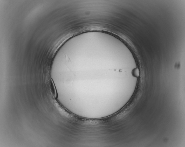 X0000112800801200909181535