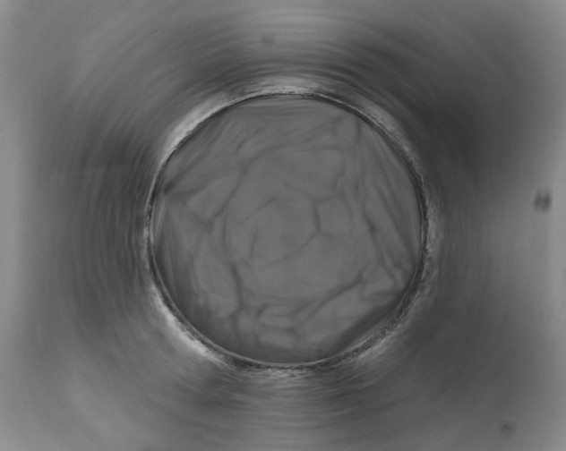 X0000112800802200909181535