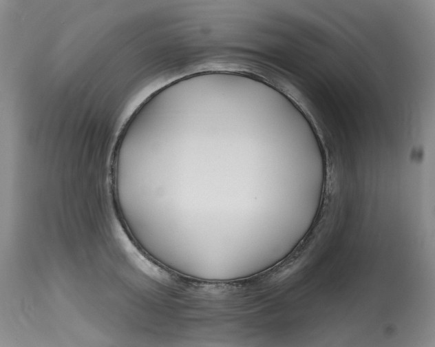 X0000112800803200909181535