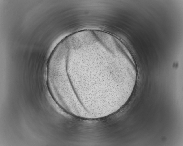 X0000112800804200909181535