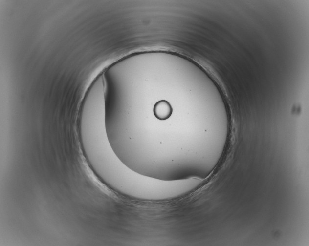X0000112800805200909181535